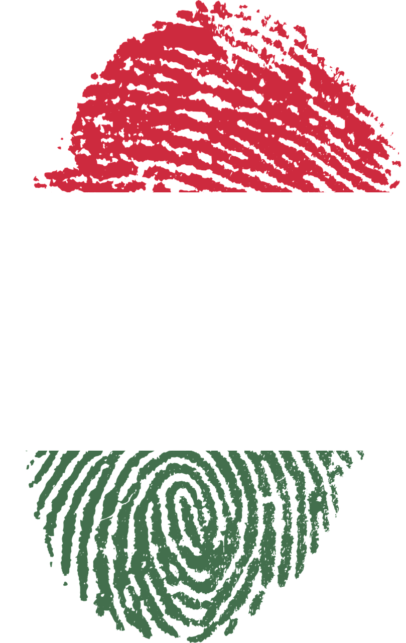 Hungary Flag Fingerprint Country Png Image - Iran Flag Fingerprint Clipart (809x1280), Png Download