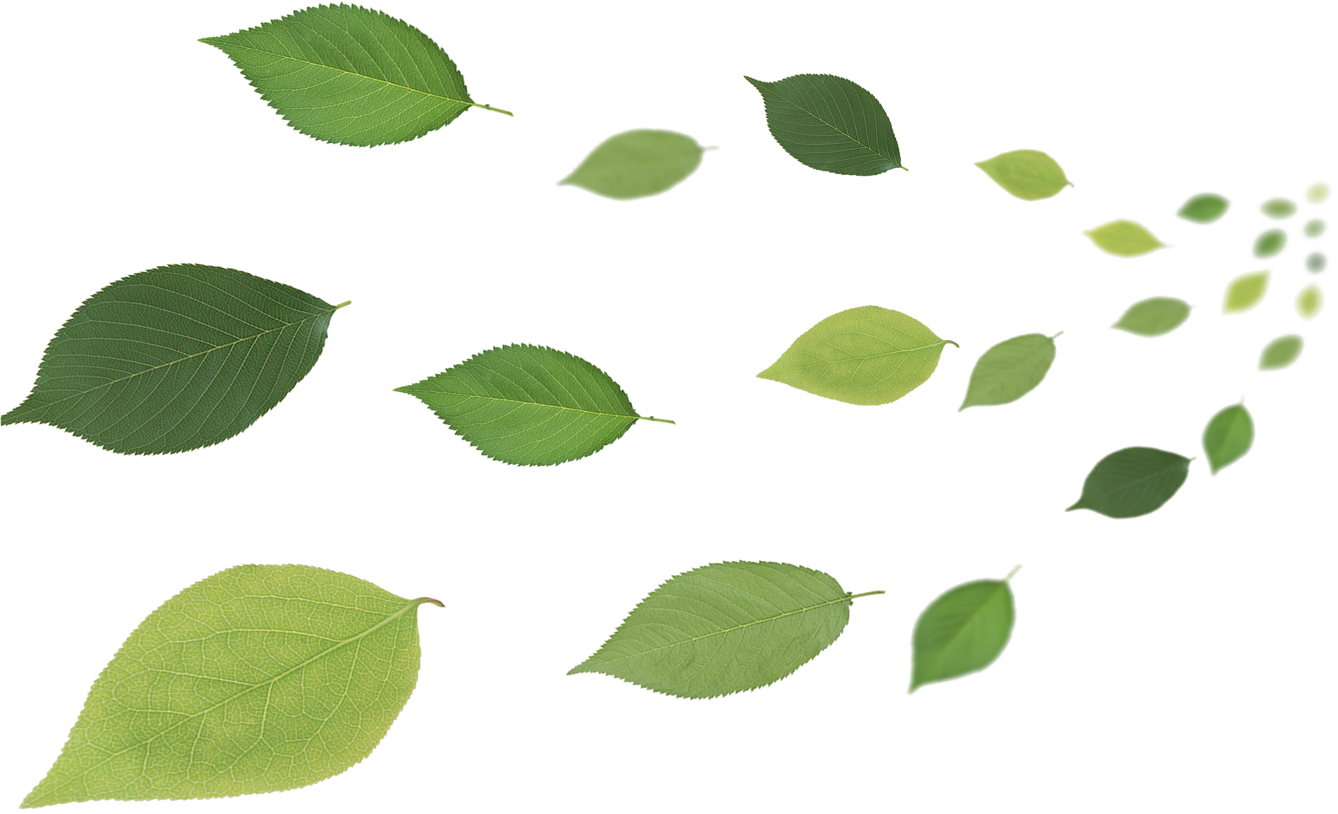 Leaf Flying Transprent Png Free - Leaves In Wind Clipart (1920x1200), Png Download
