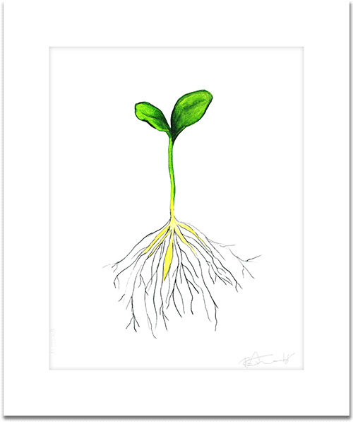 Hand Drawn Sprout - Sketch Clipart (650x650), Png Download