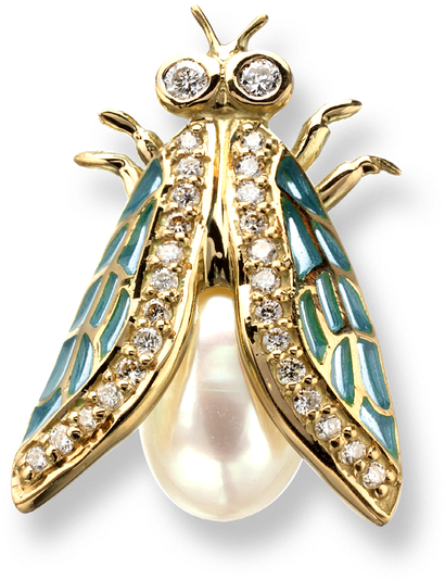 Stock - Membrane-winged Insect Clipart (800x800), Png Download