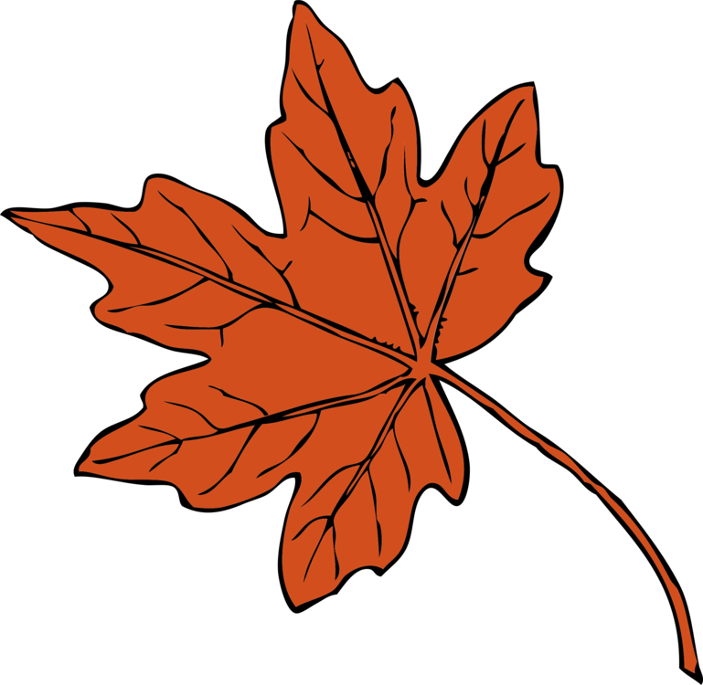 Fall Drawing Autumn Leaves - Maple Leaf Clipart - Png Download (769x750), Png Download