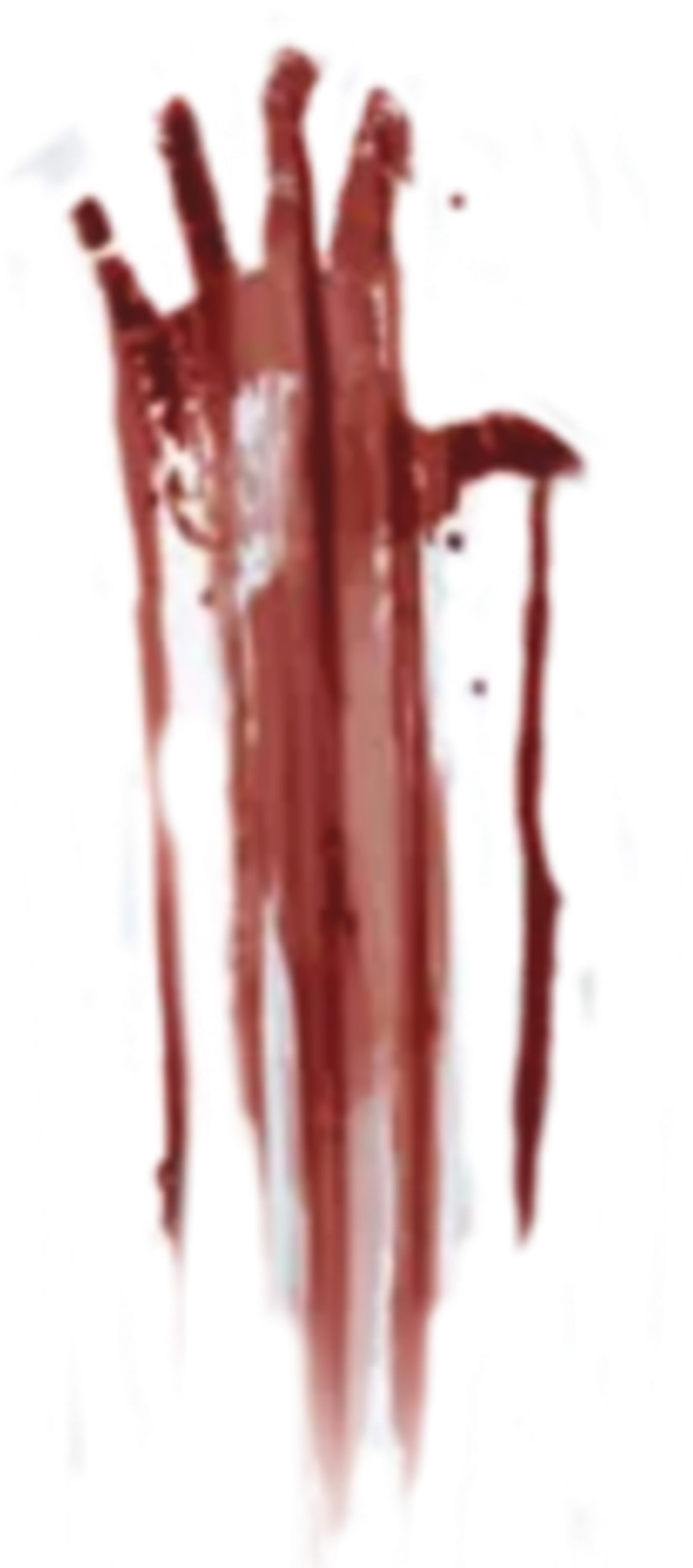 #terror #scary #thriller #ghost #halloween #blood #hand - 血 手掌 Clipart (1024x2168), Png Download