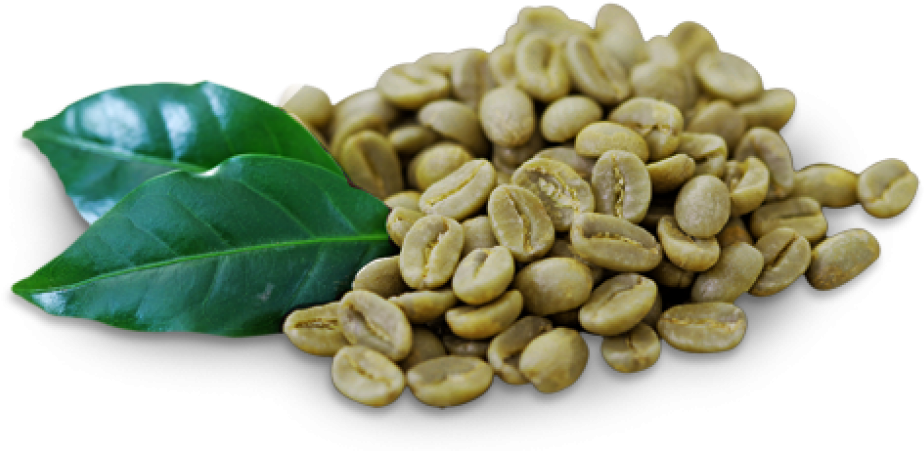 Green Coffee Beans - Green Coffee Beans Png Clipart (937x461), Png Download