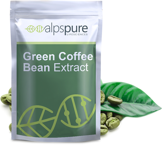 Your Outsource Partner - Aloe Clipart (800x800), Png Download