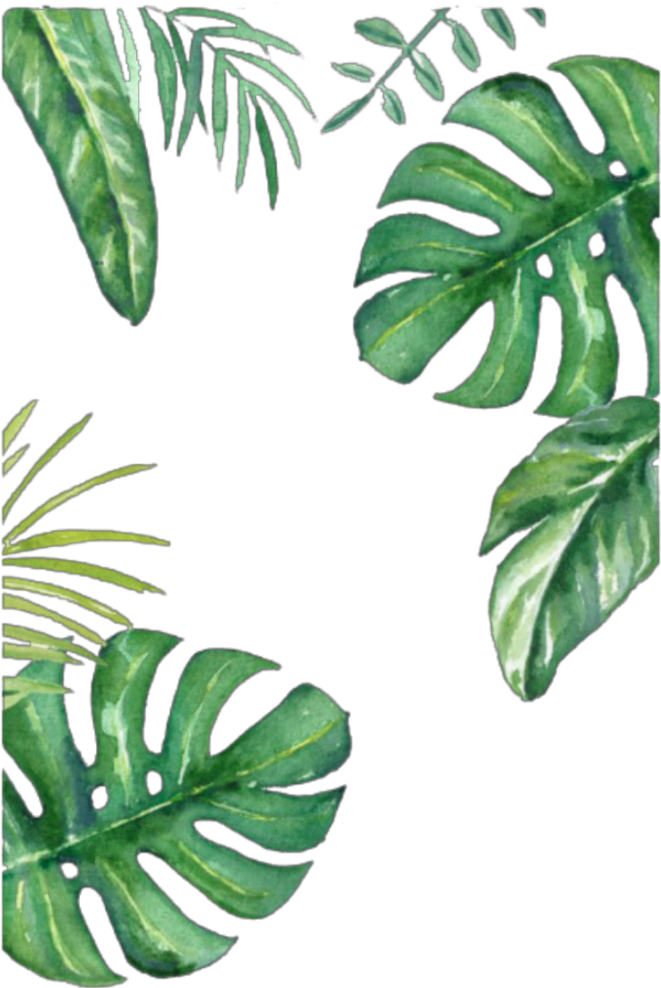 #leafs #leaf #green #greenleafs #frame #wallpaper #background - Leaf Clipart (682x1000), Png Download