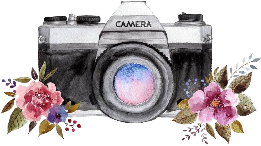 Photography Tasha Rose - Transparent Camera Tumblr Png Clipart (1004x562), Png Download
