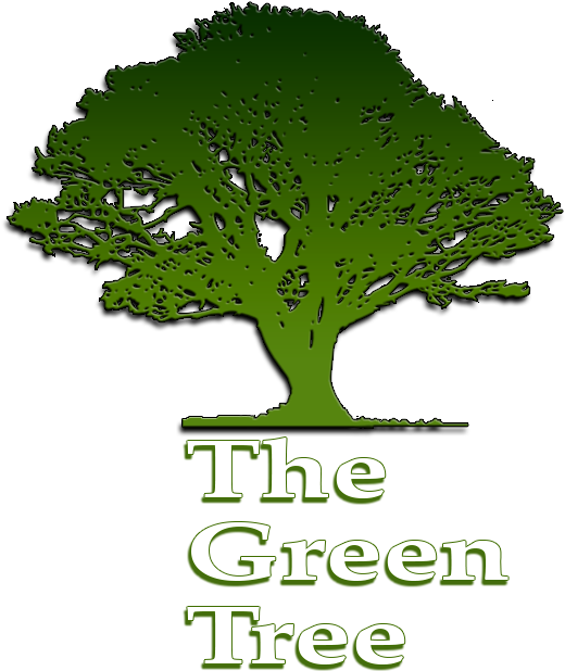 What A Great Experience - Green Tree Clipart (595x681), Png Download