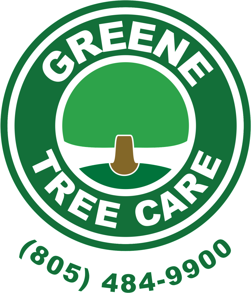 Home Page - Emblem Clipart (1024x1024), Png Download