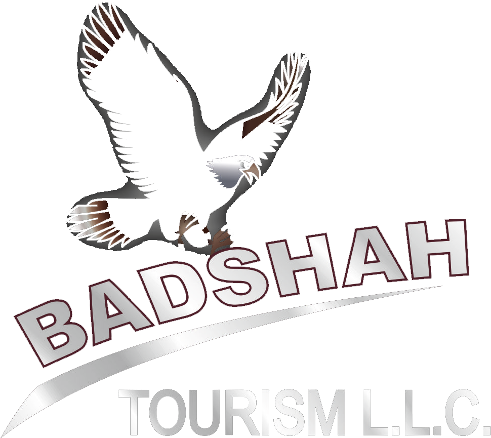 Home - Red-tailed Hawk Clipart (1044x1045), Png Download