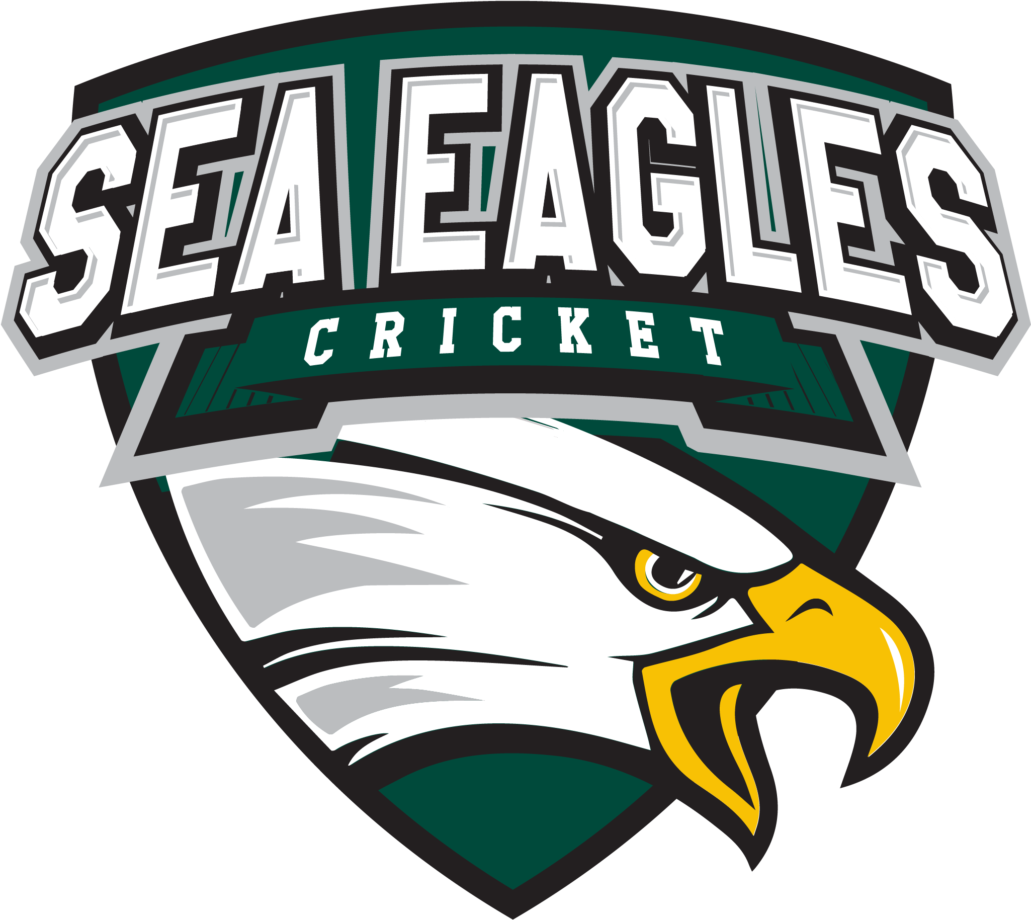 Logo - University Of Northwestern – St. Paul Clipart (2481x2601), Png Download