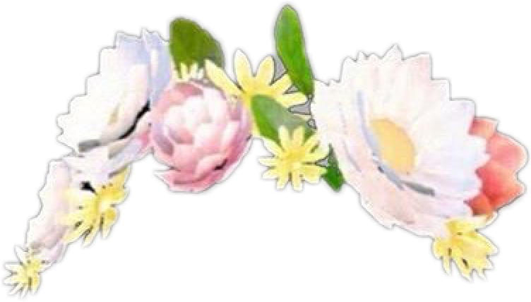 Snapchatfilter Overlay Overlays Iconresources Icon - Transparent Background Snapchat Flower Crown Clipart (752x428), Png Download