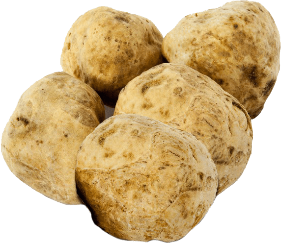 White Truffle - Russet Burbank Potato Clipart (600x600), Png Download
