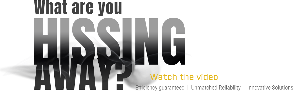 Shop Quincy - Anthropologist Clipart (1300x520), Png Download