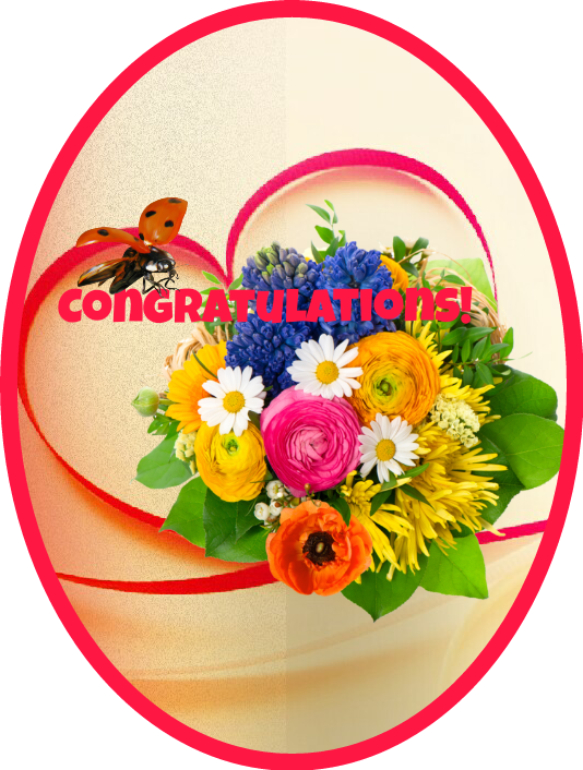 Congratulations Sticker - Flower Clipart Transparent Background - Png Download (534x706), Png Download