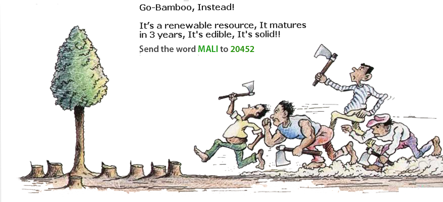 Kitil Farm Bamboo Clipart (878x400), Png Download