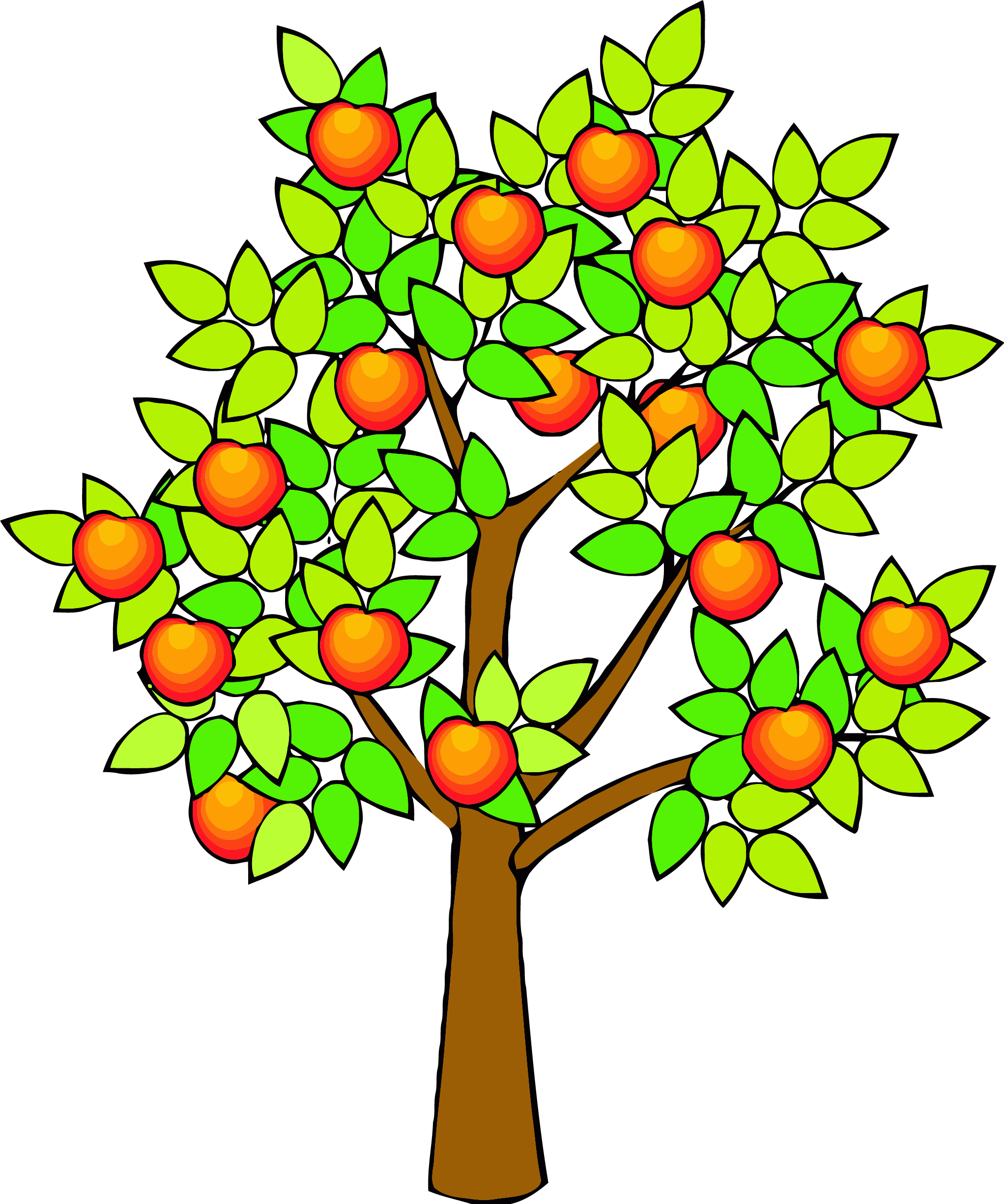 Spring Green Tree Clipart Png - Tree Clipart With Fruits Transparent Png (2043x2451), Png Download