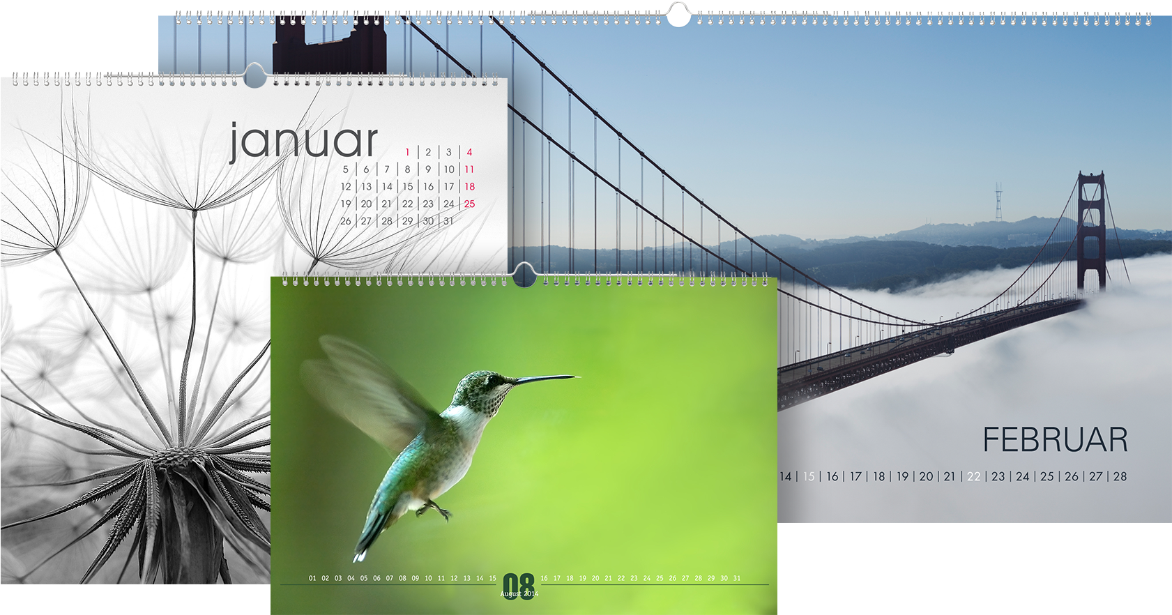 Image Composition, Exposure And Colour - Ruby-throated Hummingbird Clipart (1920x960), Png Download