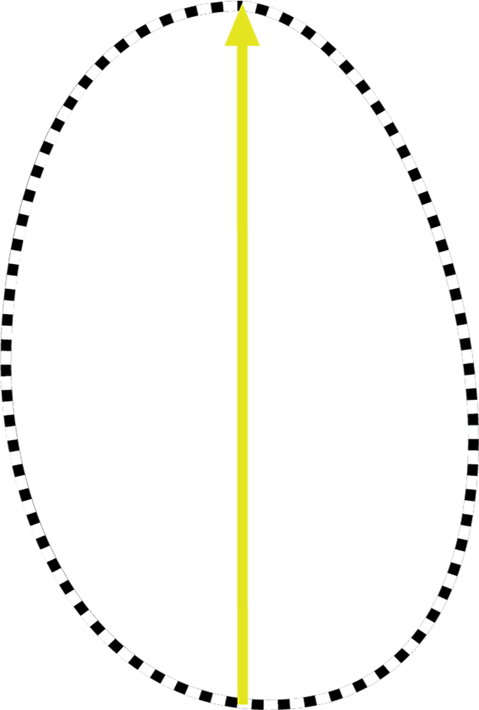 Baycarolina675e - Border Graduation Clip Art - Png Download (675x1000), Png Download