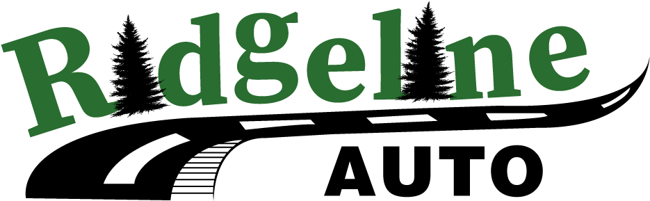 Lodgepole Pine Clipart (1200x300), Png Download