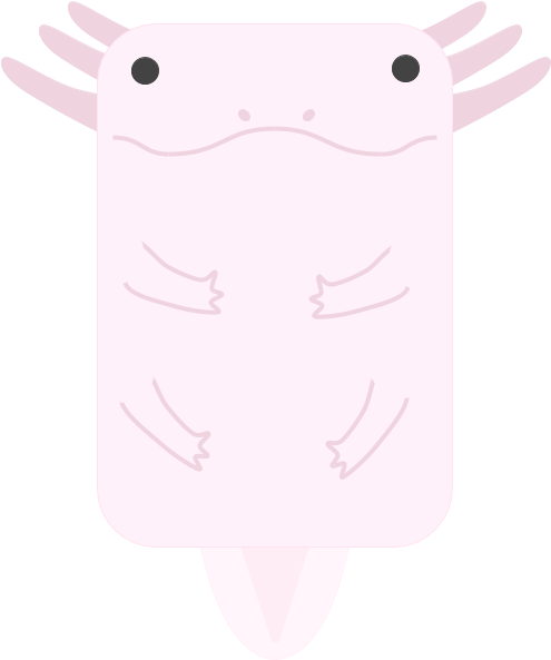 Animalaxolotl - Illustration Clipart (960x720), Png Download