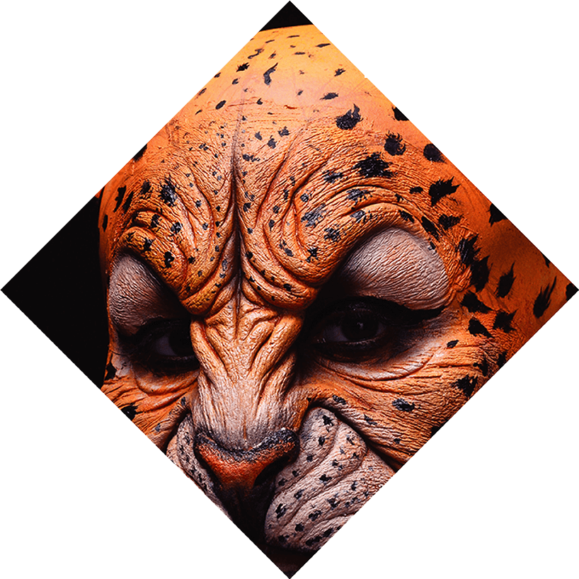 Face With Flower Cover Jaguar Makeup - Tiger Clipart (818x818), Png Download