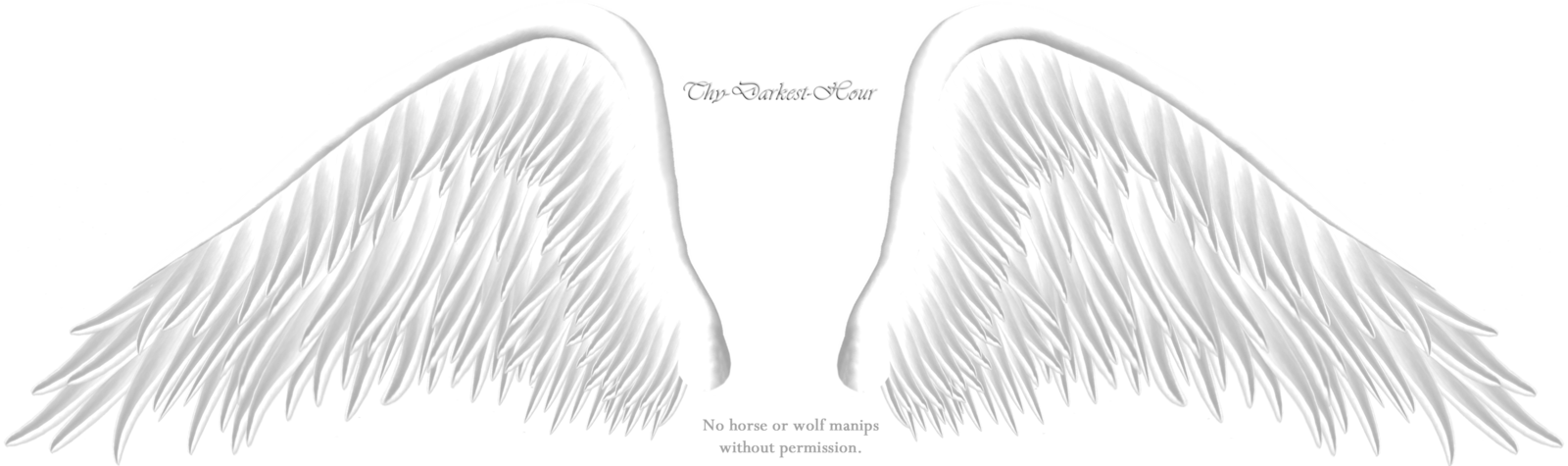 Angel Wing Png - Anime Angel Wings Png Clipart (1600x475), Png Download
