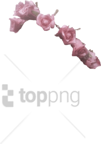 Flower Crown Transparent Overlay Png Image With Transparent - Small Flower Crown Png Clipart (480x710), Png Download
