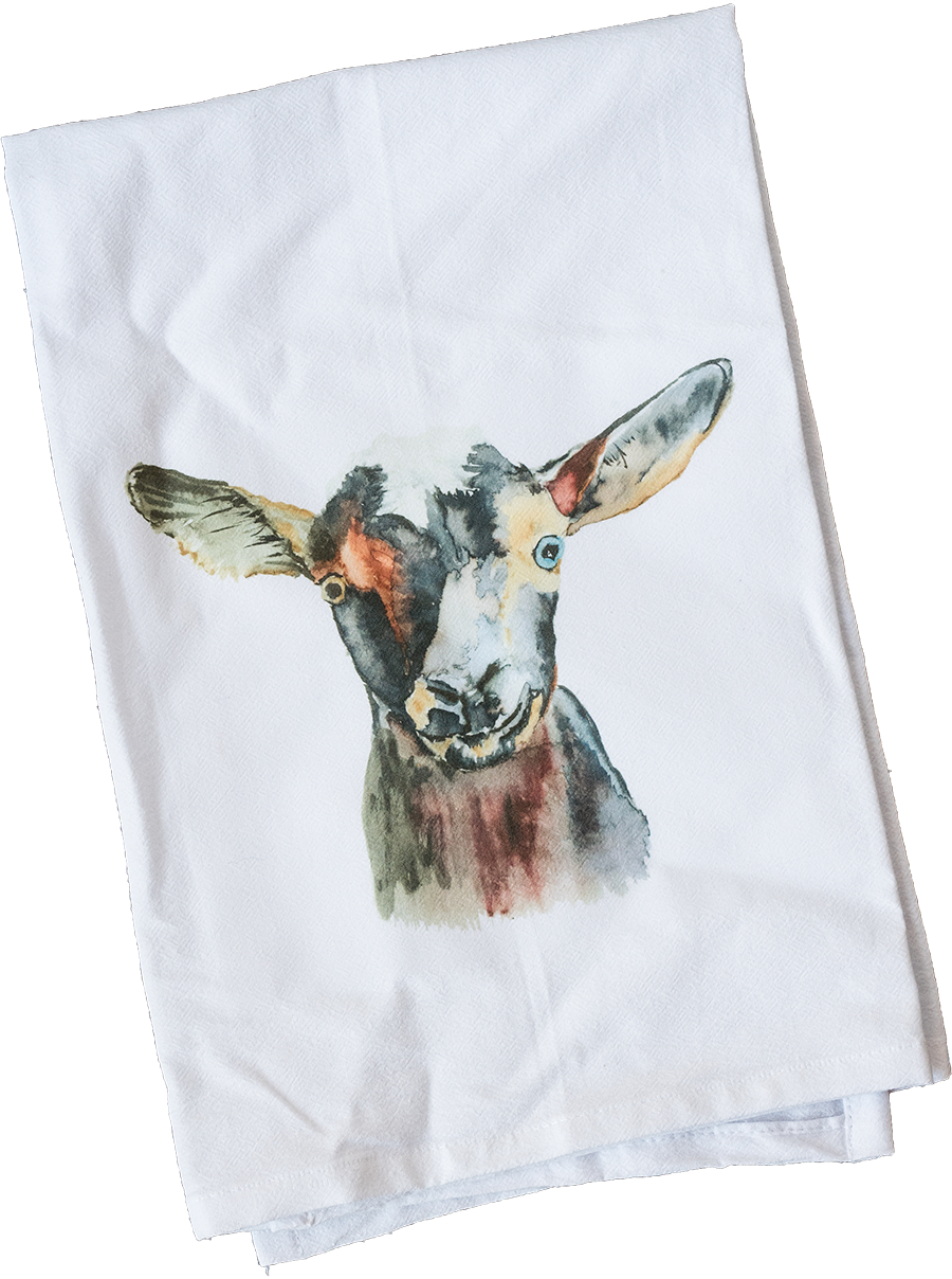 Burro Clipart (900x1208), Png Download