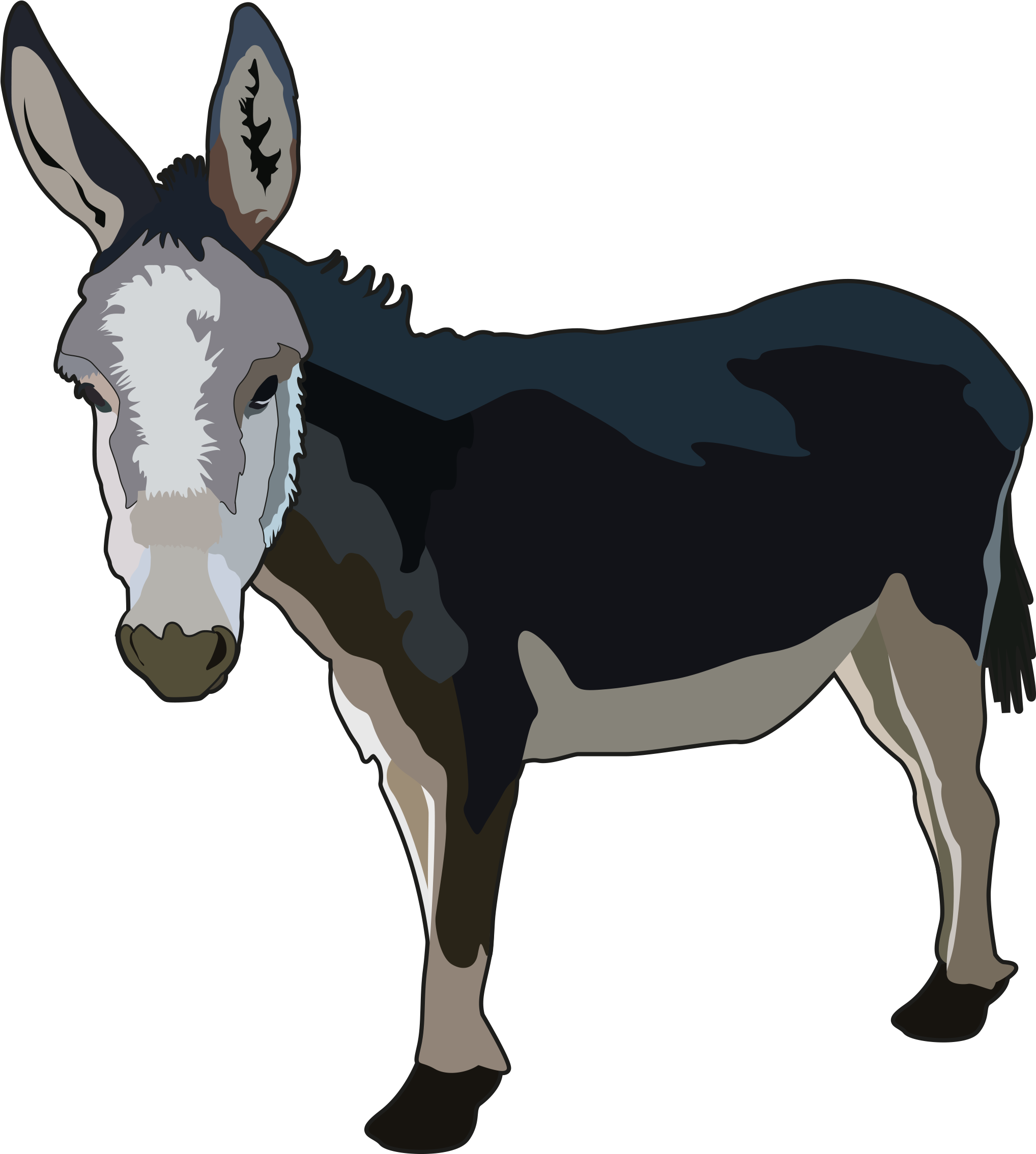 Burro - Siluetas De Burro Png Clipart (3508x2480), Png Download
