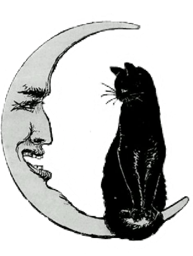 Halloween Png Vintage - Cat On The Moon Clipart (1024x1024), Png Download
