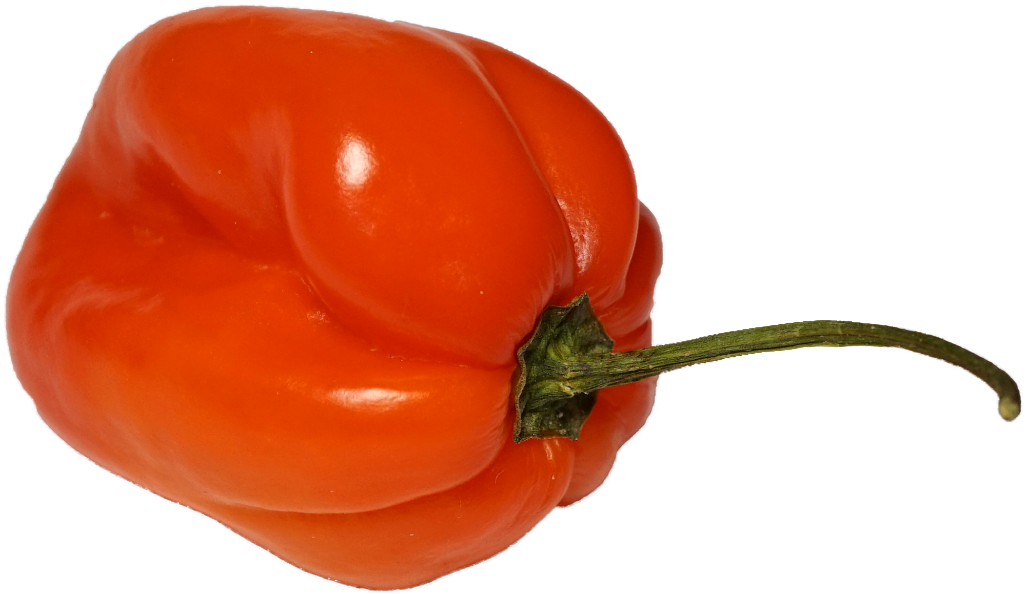 File - Habanero - Habanero Pepper Transparent Background Clipart (2015x1193), Png Download