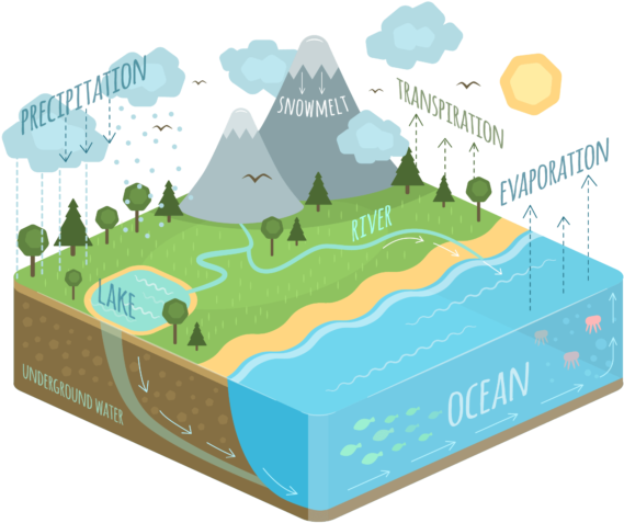 Conserving Land Where The Raindrops Fall Is An Immediate - Water Cycle Diagram Clipart (600x600), Png Download