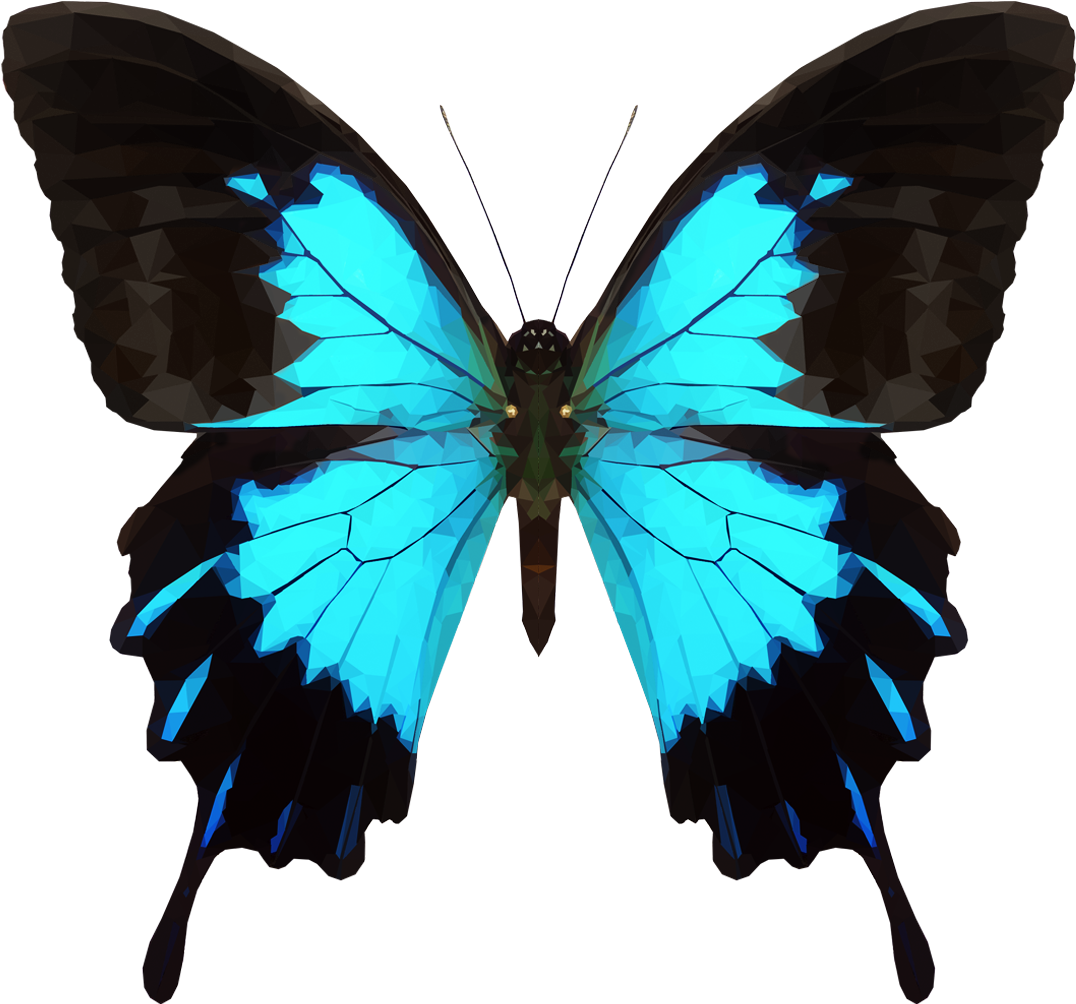 Transparent Butterfly Tumblr - Png Papilio Ulysses Butterfly Clipart (1076x1004), Png Download