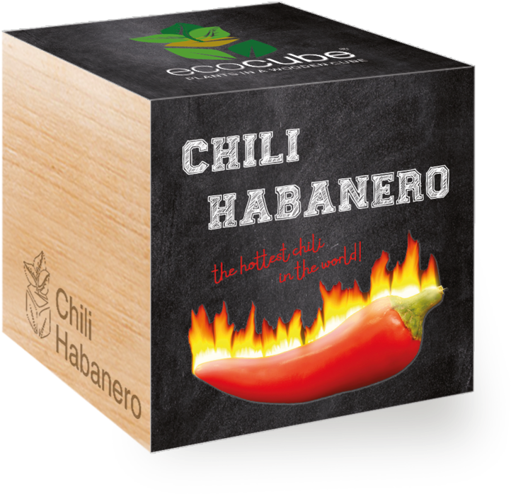 Box Clipart (800x800), Png Download