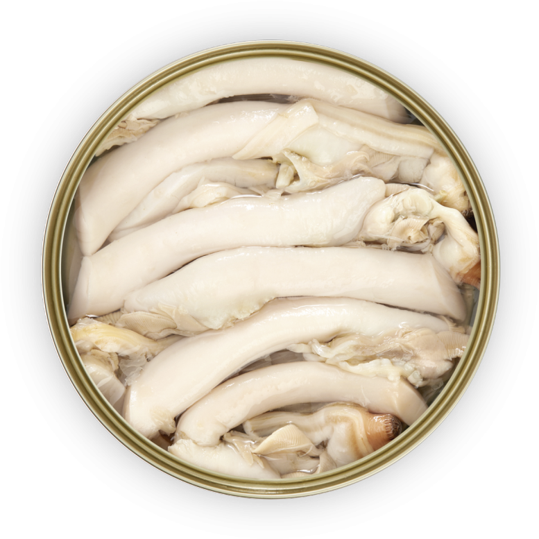 Razor Clams - Fish Products Clipart - Large Size Png Image - PikPng