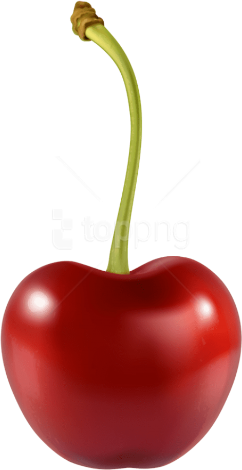 Free Png Download Cherry Clipart Png Photo Png Images - Cherry Png Transparent Png (480x934), Png Download