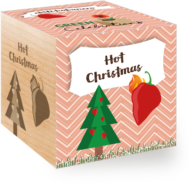 Christmas Tree Clipart (800x800), Png Download