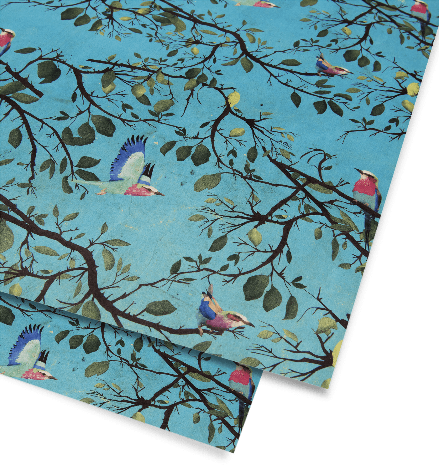 Turquoise Holler Bird Gift Wrap , Png Download - Floral Design Clipart (1401x1486), Png Download