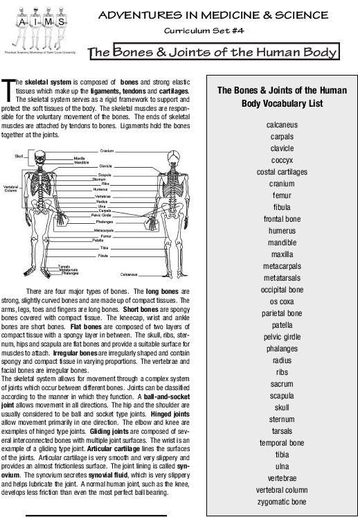 Pdf - Folio Two From Burchard Of Sion's De Locis Ac Mirabilibus Clipart (612x792), Png Download