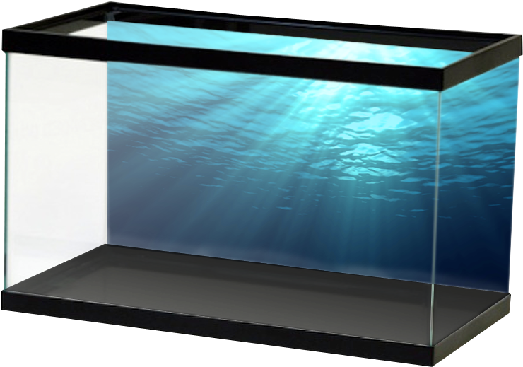 Salt Ocean - Fish Tank Ocean Backgrounds Clipart (800x800), Png Download