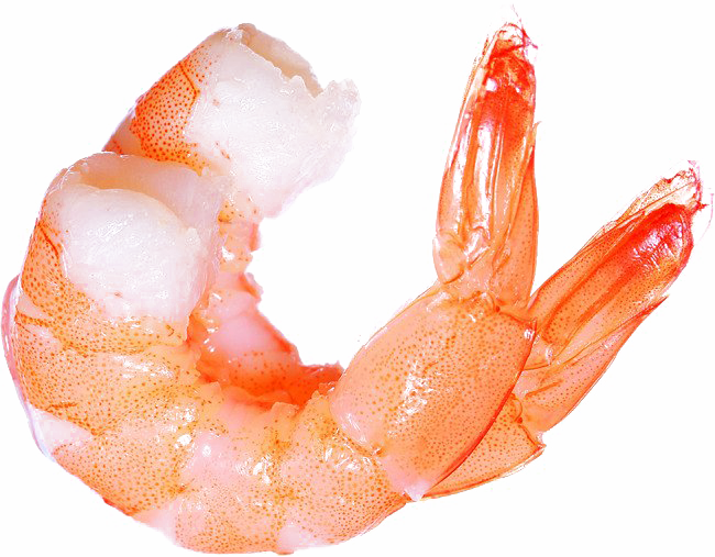 Ocean Shrimp Transparent Png - Shrimp Png Transparent Clipart (650x507), Png Download