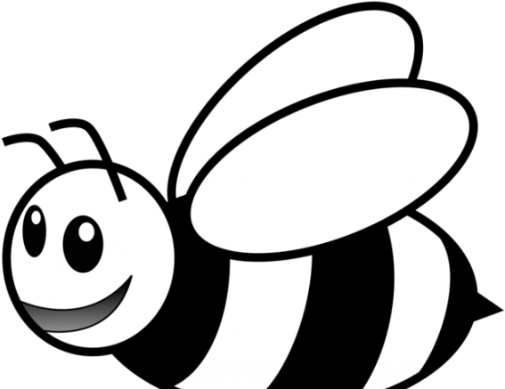 Bees Clipart Outline - Honey Bee For Coloring - Png Download (640x480), Png Download