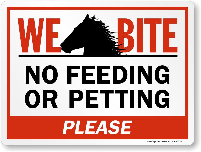 Do Not Feed Horse Sign - Sign Clipart (800x607), Png Download