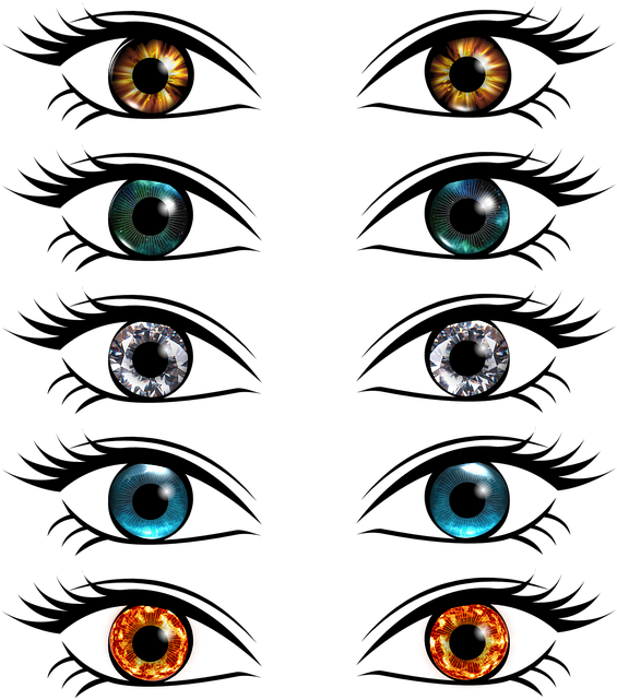 Couleur Des Yeux Dessin Clipart (594x640), Png Download