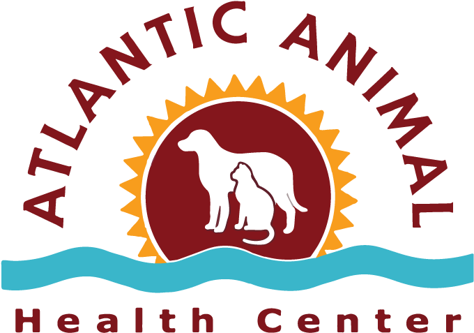 Atlantic Animal Health Center - Illustration Clipart (692x513), Png Download