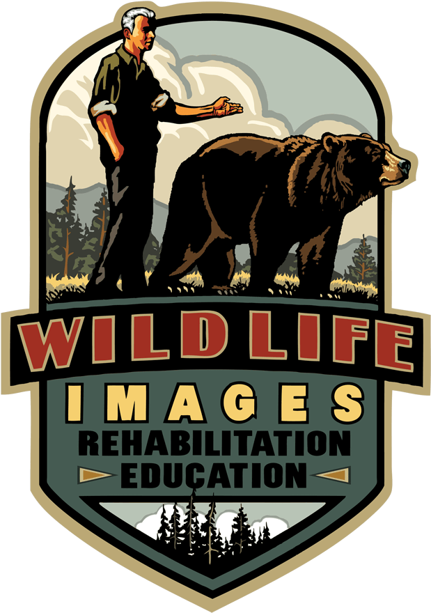 Go Wild Over Spring Break - Wildlife Images Rehabilitation And Education Center Clipart (654x900), Png Download