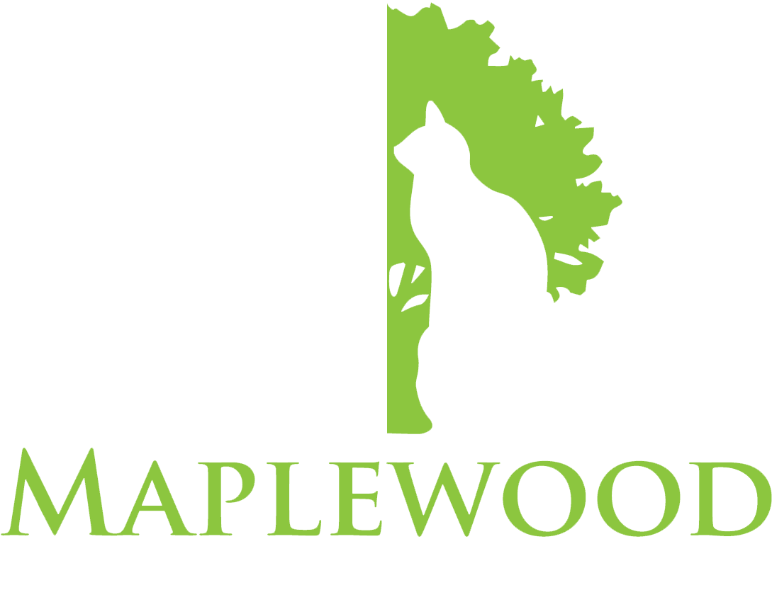 Useful Links - Akcent Love Stoned Cover Clipart (1145x855), Png Download