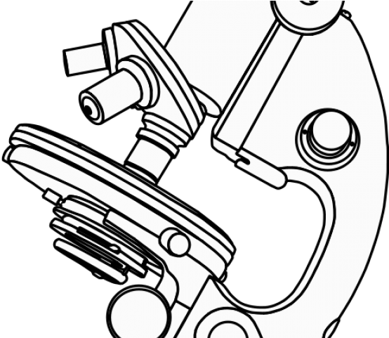 Microscope Clipart Black And White - Microscope Clip Art Black And White - Png Download (640x480), Png Download