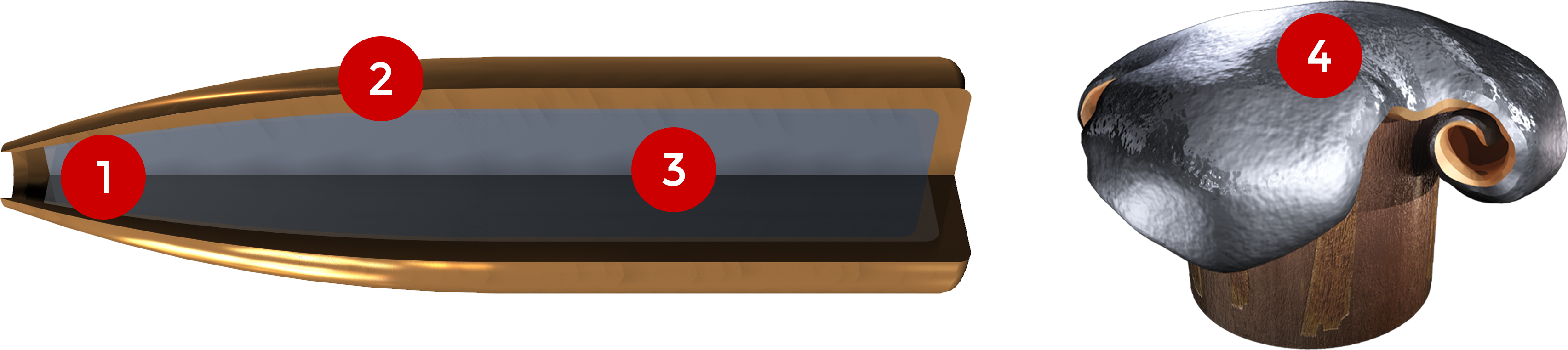 270 Winchester, 150 Grains Features - Plywood Clipart (3410x762), Png Download