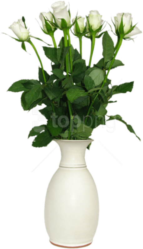 Free Png Download Transparent White Rose In Vase Picture - Flower In Vase Png Clipart (458x796), Png Download